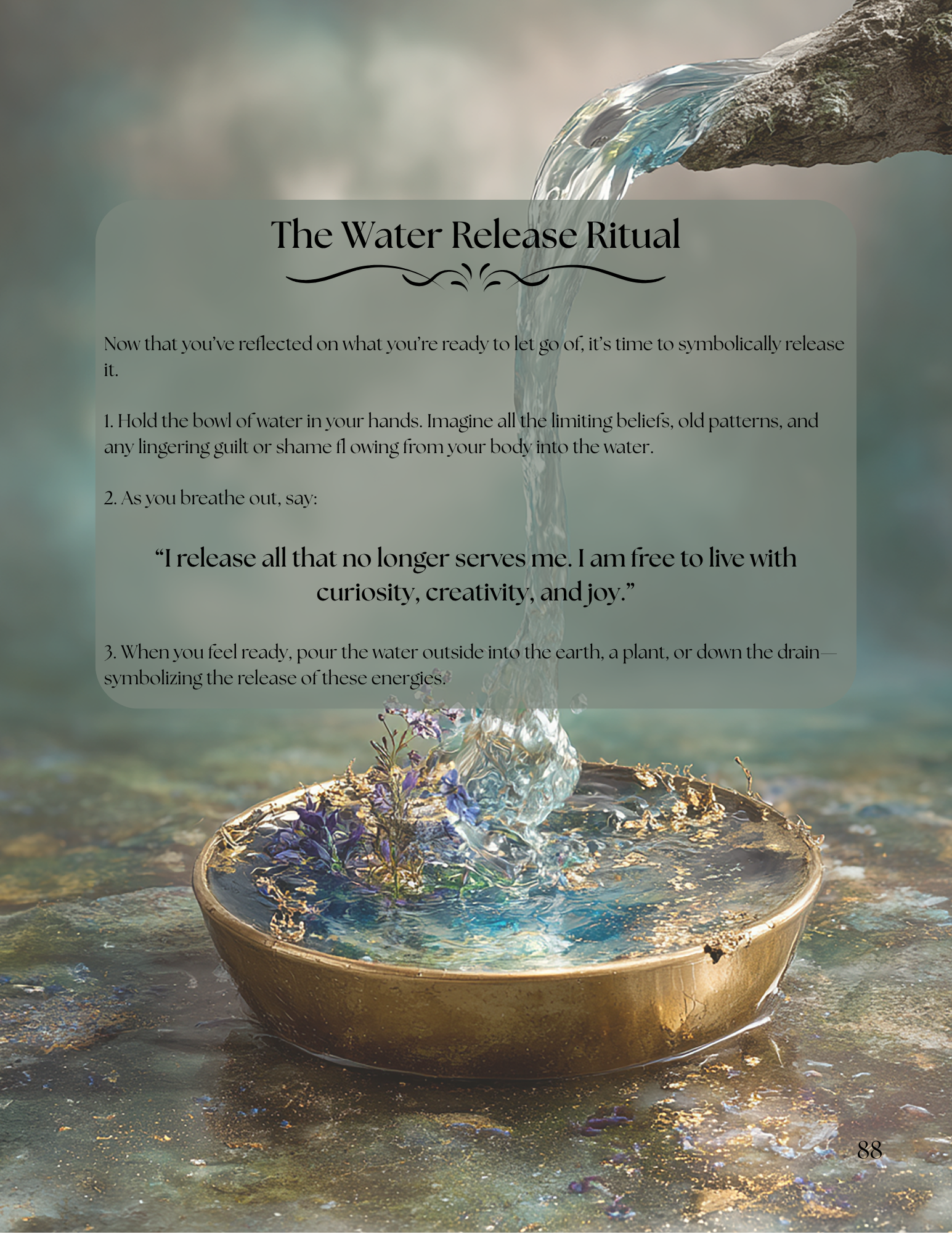 The Year of Transformation, Volume 1