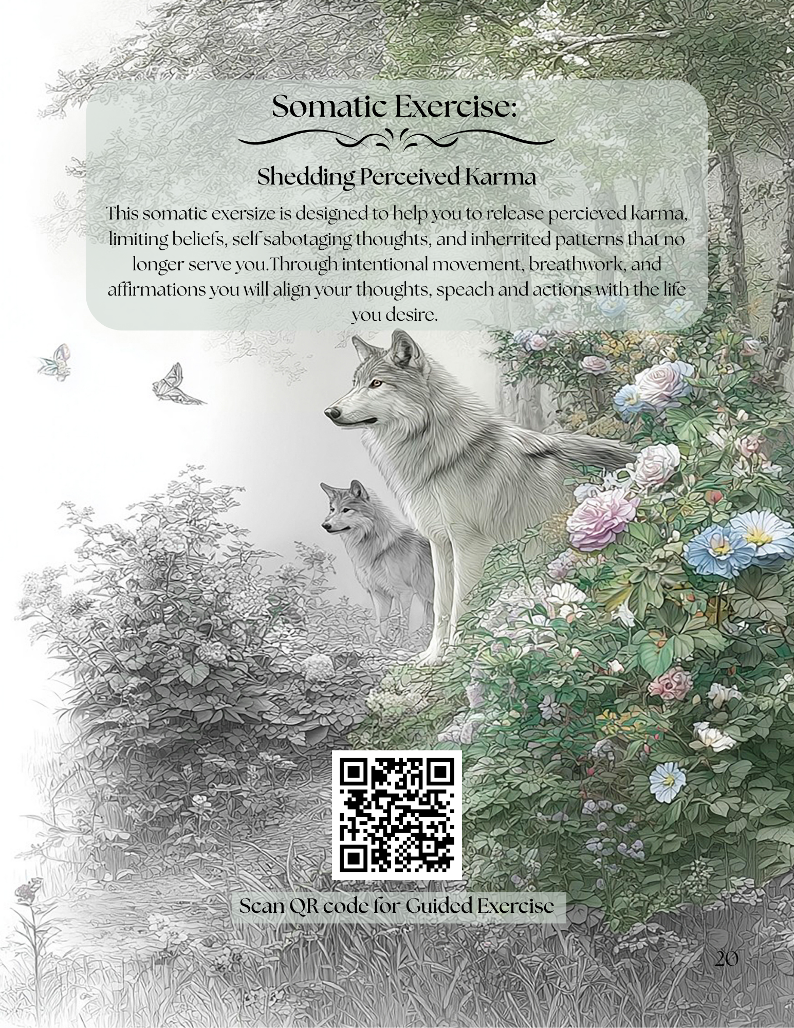 The Year of Transformation Volume 2