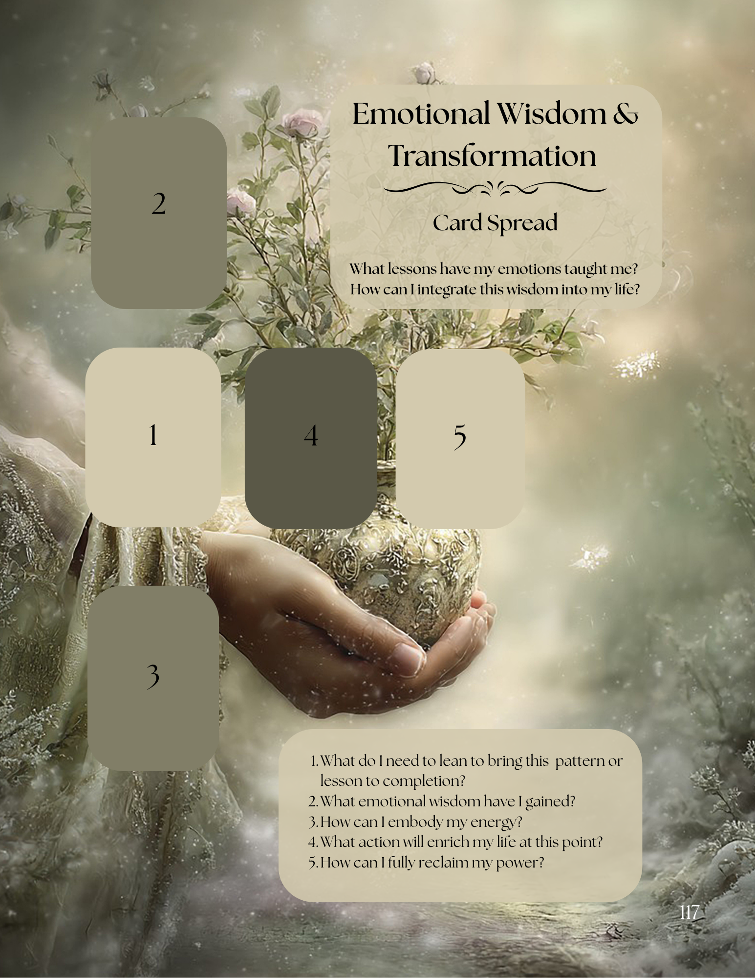 The Year of Transformation Volume 2