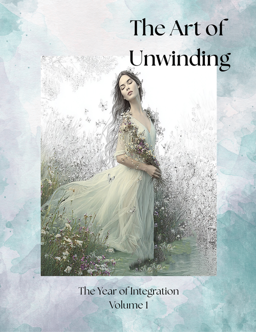 The Year of Integration Volume 1