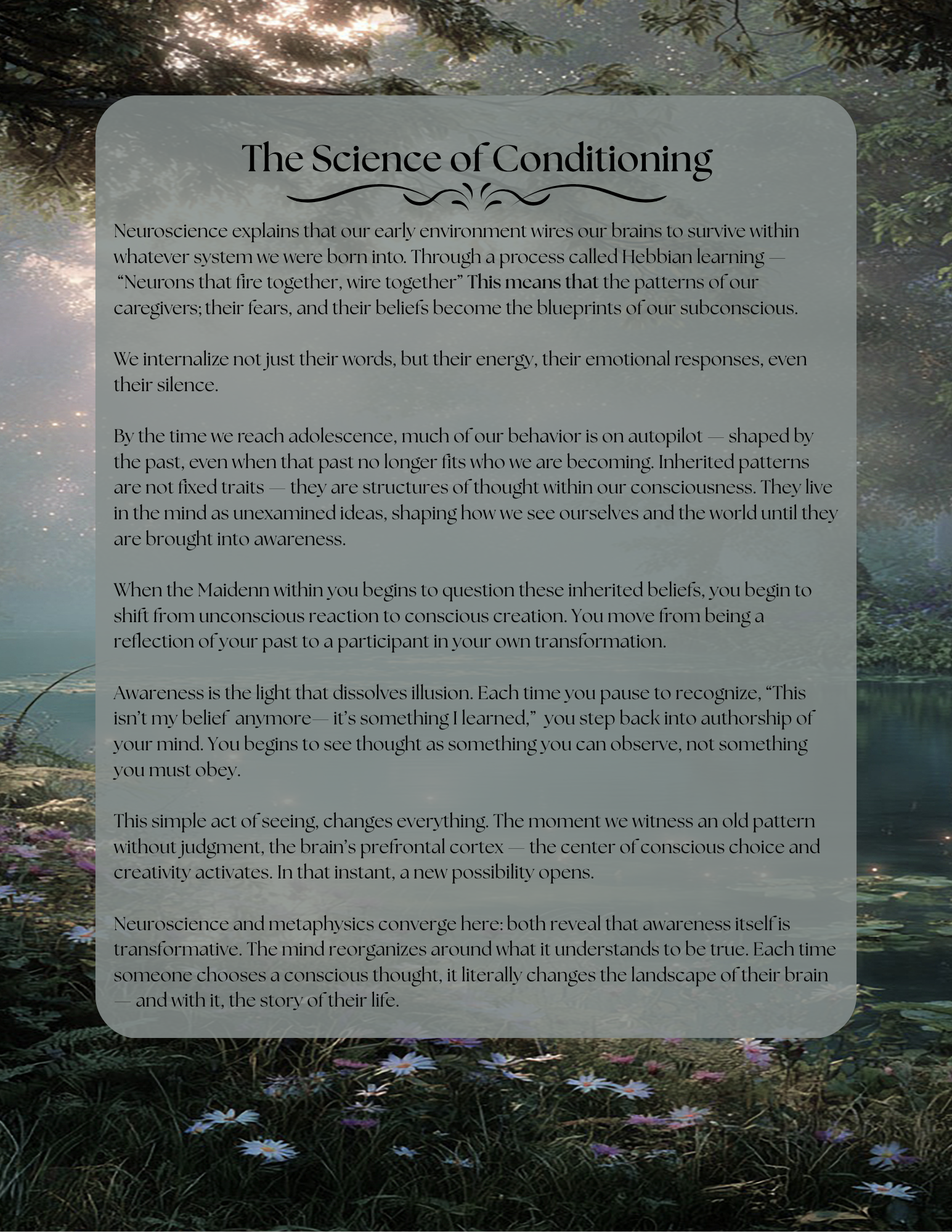 The Year of Integration Volume 2